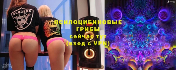 твердый Белокуриха