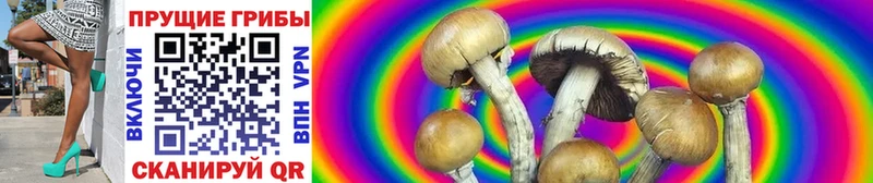 Псилоцибиновые грибы Psilocybine cubensis  где продают   Воскресенск 